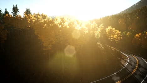 Luftdrohnenflug-über-Kiefernwald-In-Den-Bergen-Bei-Sonnenuntergang